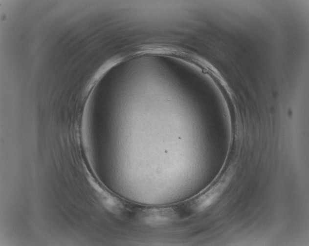 X0000062171433200512161240