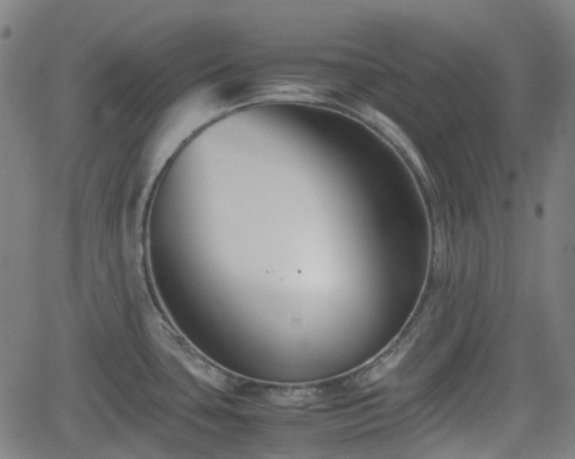 X0000062171435200512161240