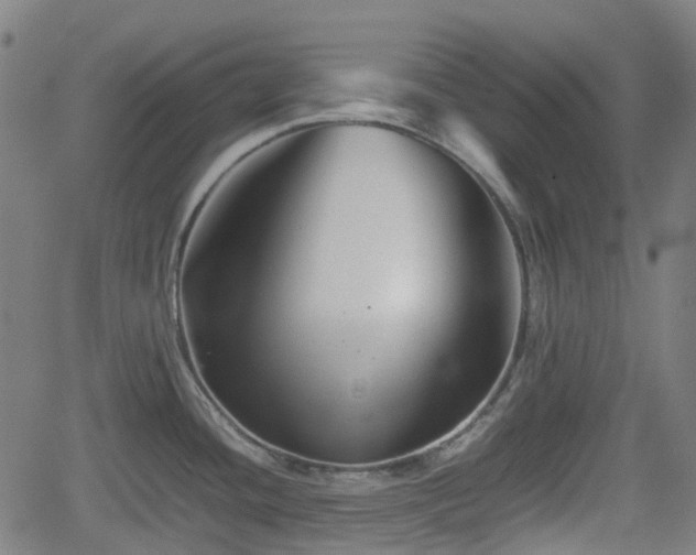 X0000062171436200512161240