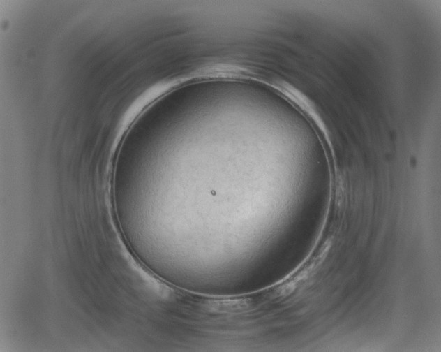 X0000062171437200512161240