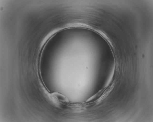 X0000062171438200512161240