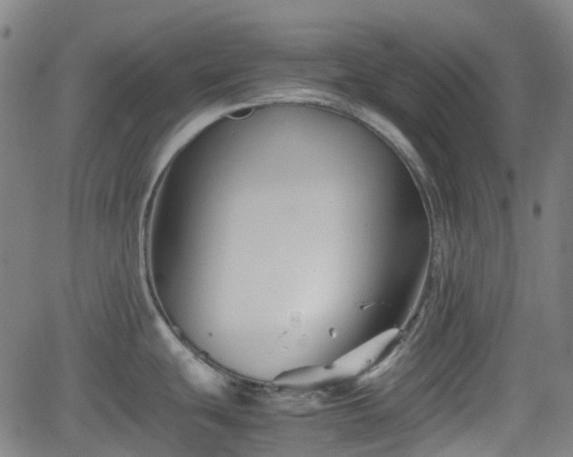 X0000062171439200512161240