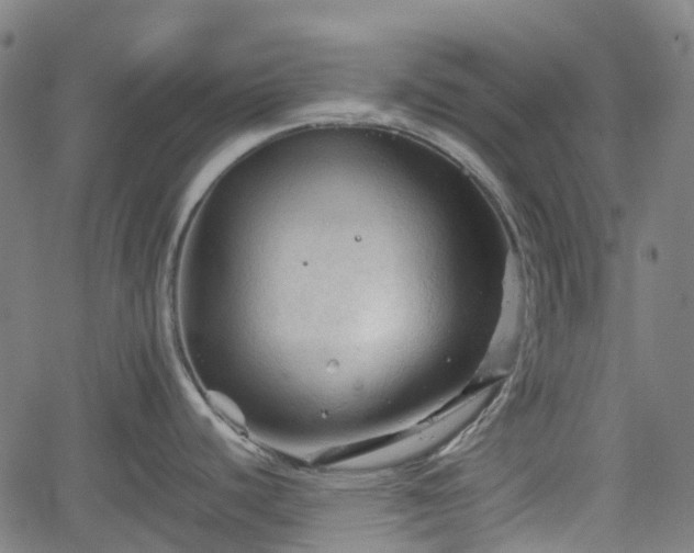 X0000062171440200512161240