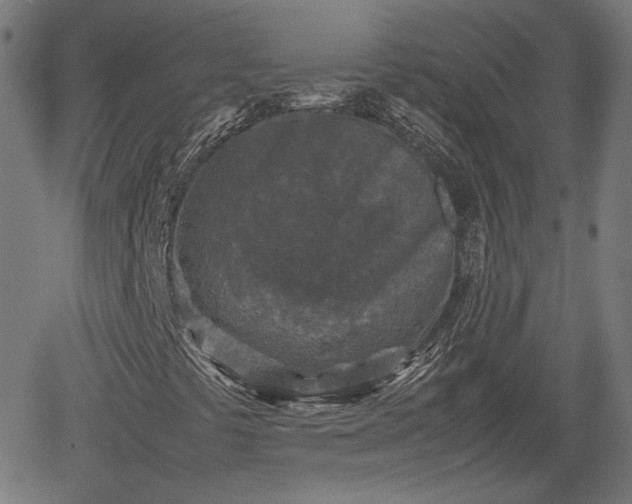 X0000062171441200512161239