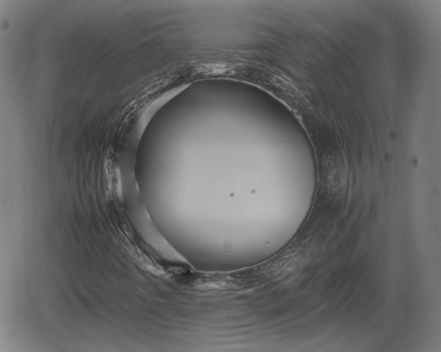 X0000062171442200512161239