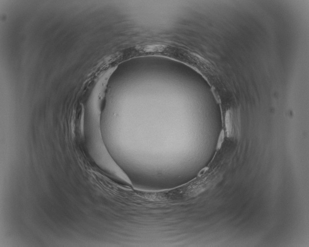 X0000062171443200512161239