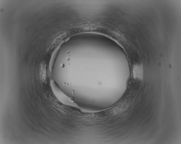 X0000062171444200512161239