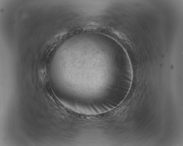 X0000062171445200512161239