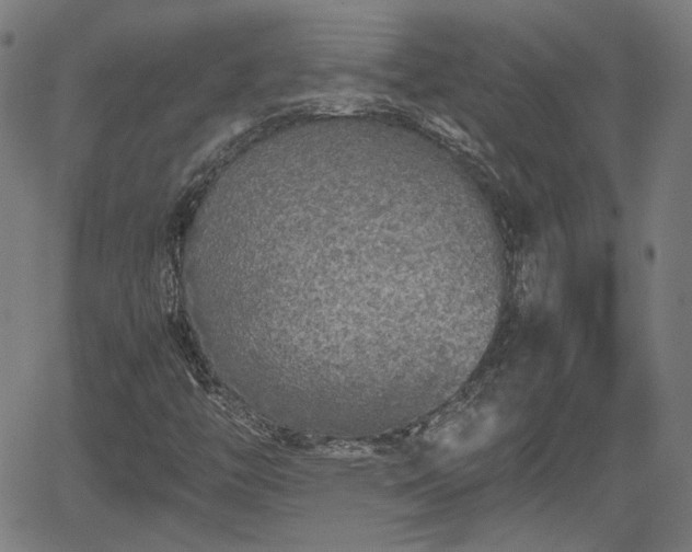 X0000062171446200512161239