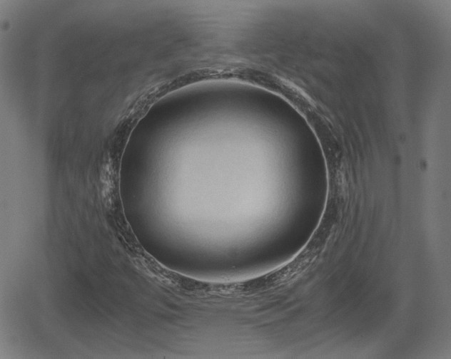 X0000062171447200512161239