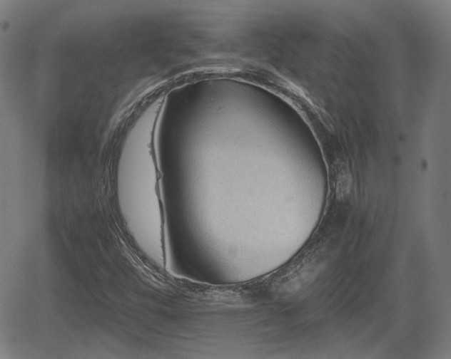 X0000062171448200512161239