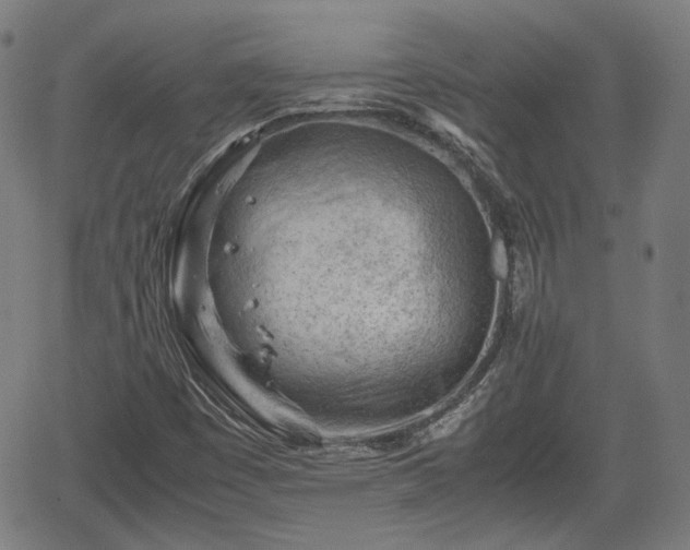 X0000062171449200512161239