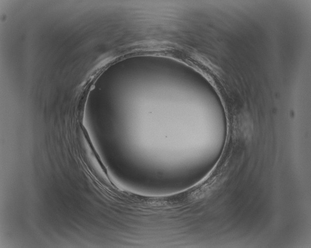 X0000062171451200512161239