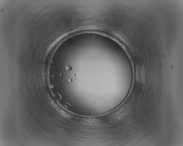 X0000062171452200512161239