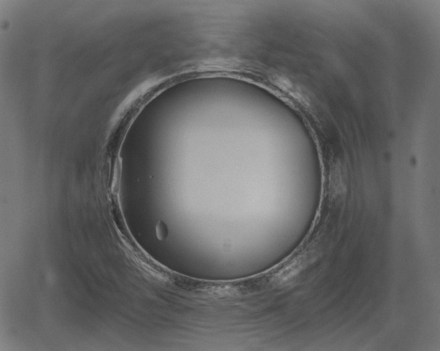 X0000062171454200512161239