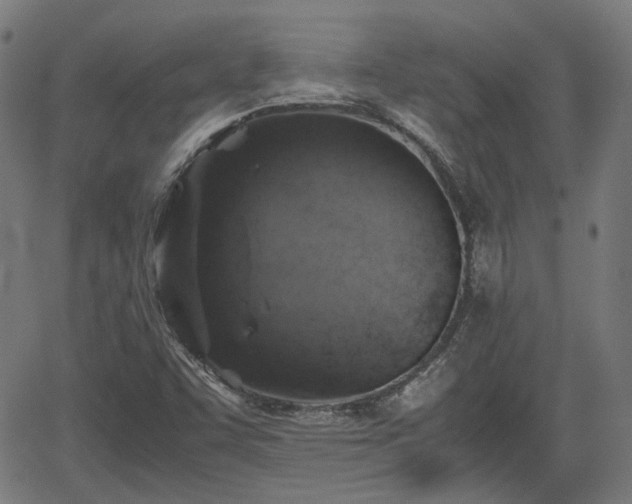 X0000062171455200512161239