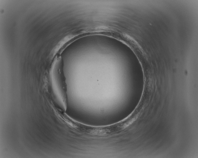 X0000062171457200512161239