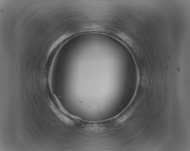 X0000062171458200512161239