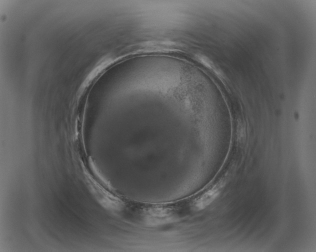 X0000062171459200512161239