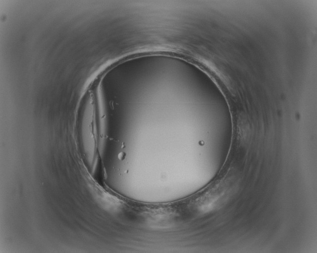 X0000062171460200512161239