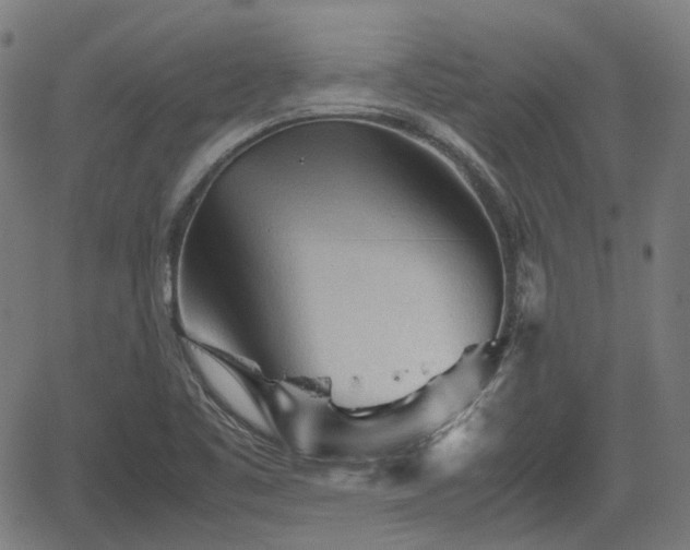 X0000062171461200512161239