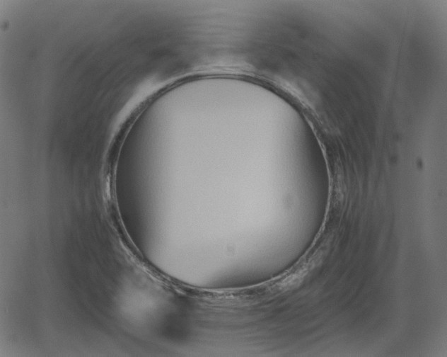 X0000062171462200512161239