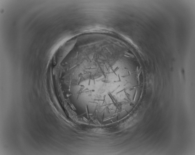 X0000062171463200512161238