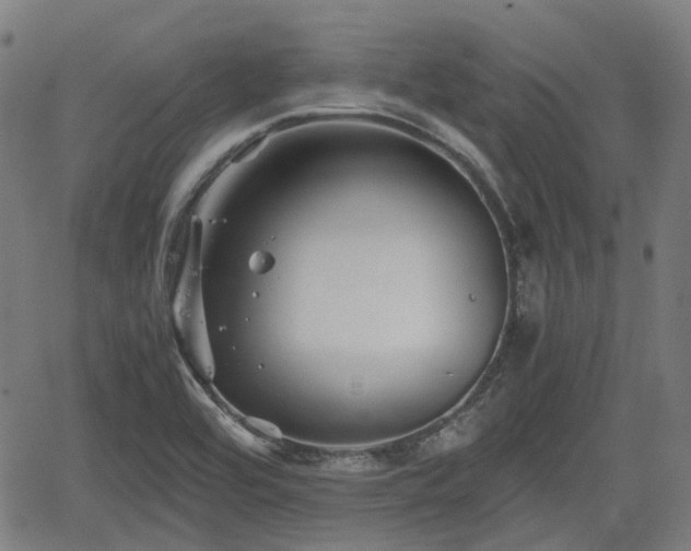 X0000062171464200512161238