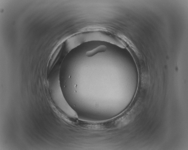 X0000062171465200512161238