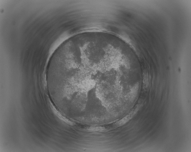 X0000062171466200512161238