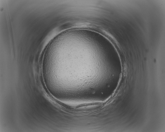 X0000062171467200512161238