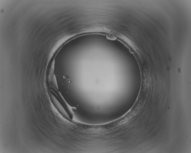 X0000062171468200512161238