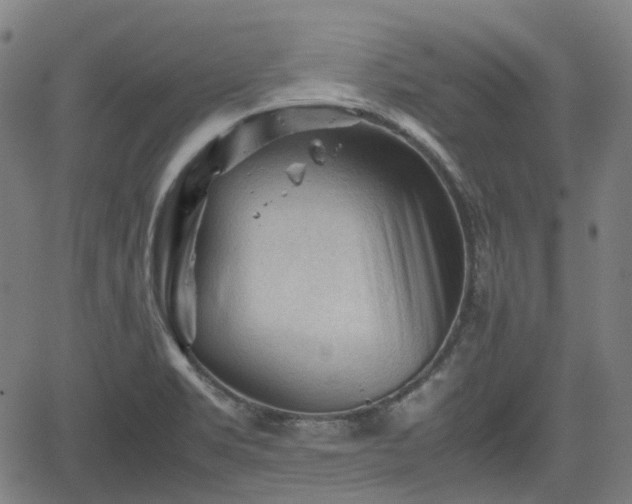 X0000062171469200512161238