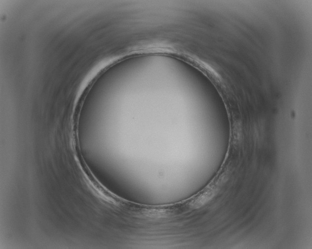 X0000062171470200512161238