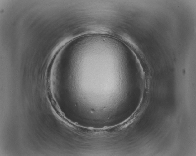 X0000062171471200512161238