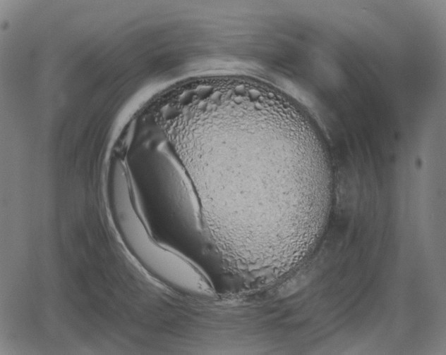 X0000062171472200512161238