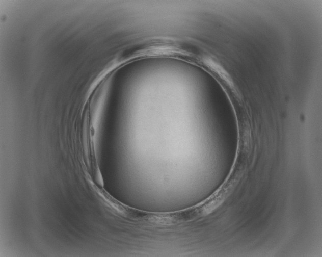 X0000062171473200512161238