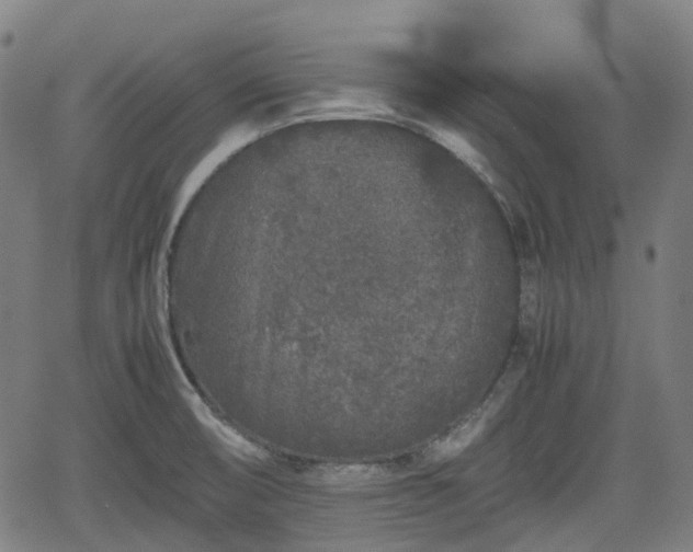 X0000062171474200512161238