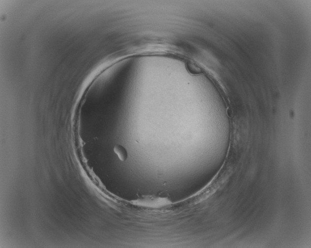 X0000062171475200512161238