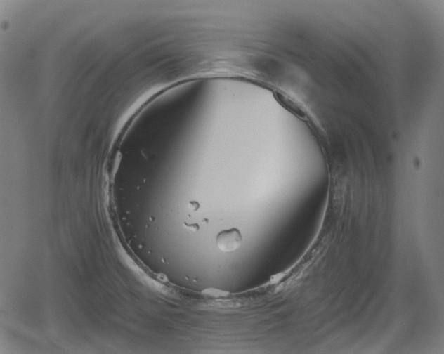 X0000062171476200512161238