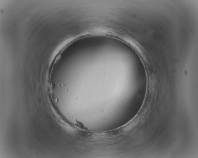 X0000062171477200512161238