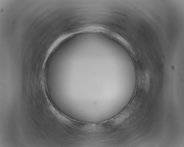 X0000062171478200512161238