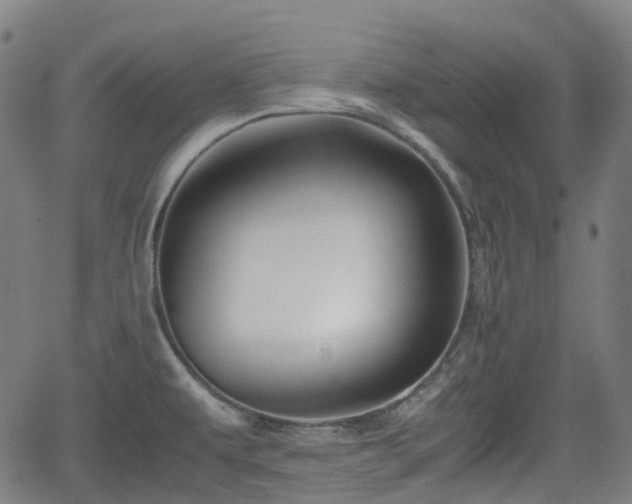 X0000062171479200512161238