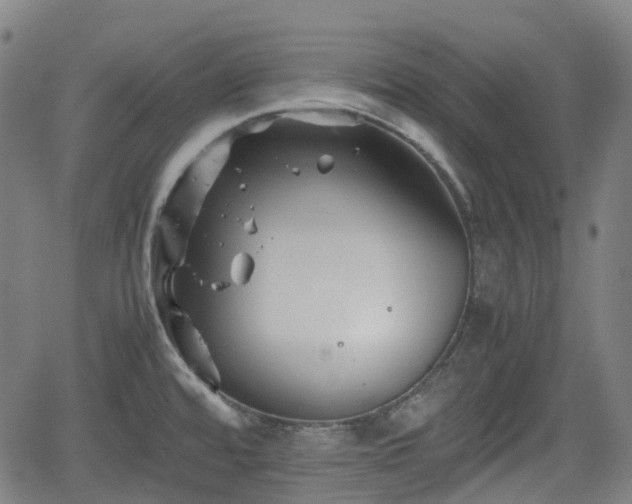 X0000062171480200512161238