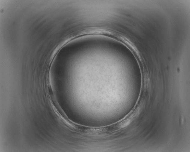 X0000062171481200512161238