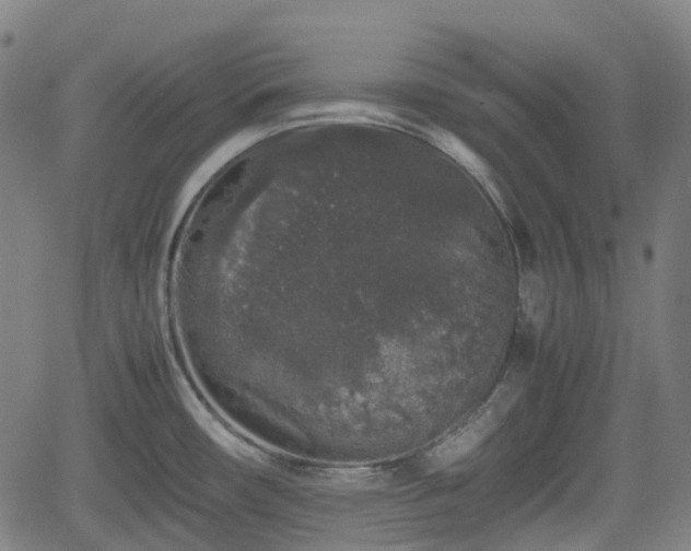 X0000062171482200512161238