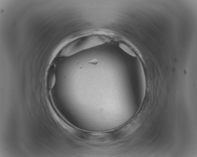 X0000062171483200512161238