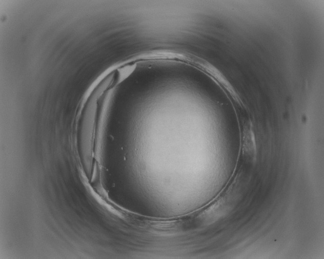 X0000062171484200512161238