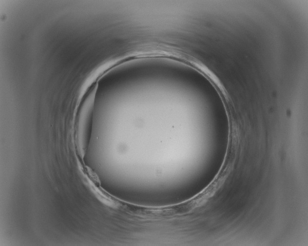 X0000062171485200512161238