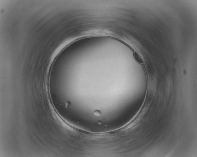 X0000062171486200512161238